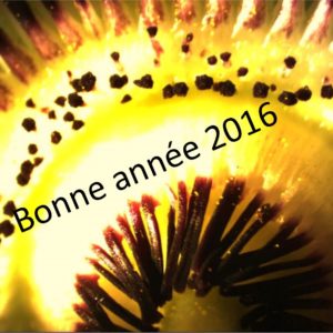 voeux 2016
