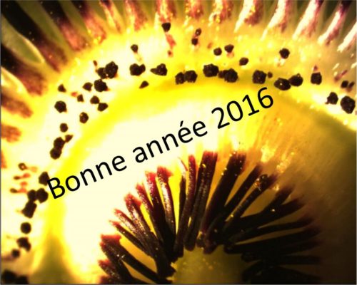 voeux 2016